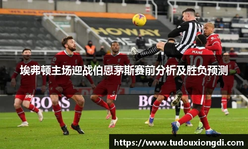 米兰(milan)官网