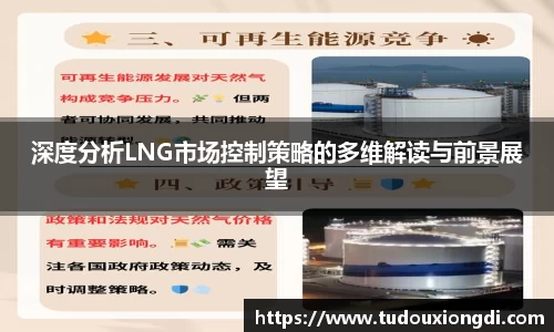 深度分析LNG市场控制策略的多维解读与前景展望
